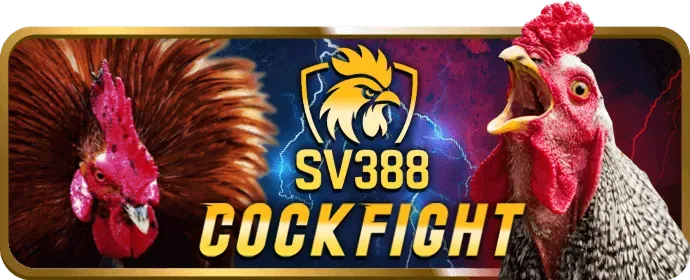 Thưởng nạp lại sòng bạc trực tiếp Vin55